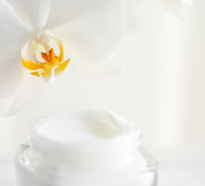 Close-up of white flowers