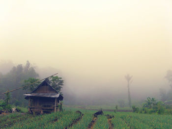 Scenic view of field in foggy weather