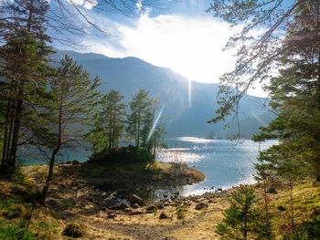 Scenic view of waterfall in forest against bright sun