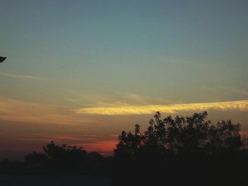 Silhouette trees against sky during sunset