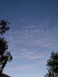 Low angle view of silhouette trees against blue sky