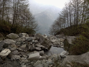 Rocks in forest against sky