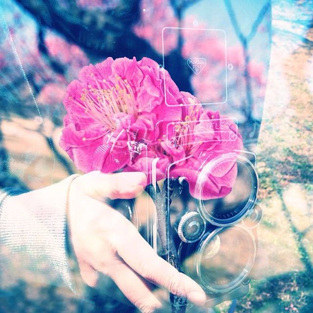 person, holding, part of, cropped, lifestyles, leisure activity, human finger, unrecognizable person, focus on foreground, close-up, indoors, personal perspective, men, glass - material, flower, celebration