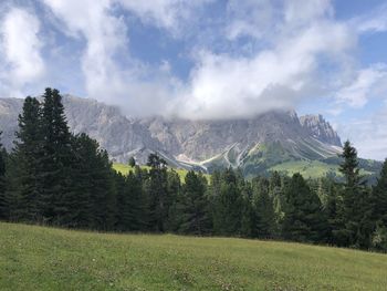 Scenic view of pine trees and mountains against sky