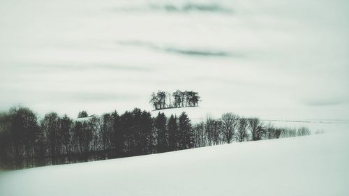 Trees on field against cloudy sky