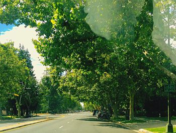 Empty road along trees