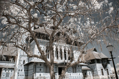 Low angle view of bare tree and house in winter