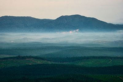 Scenic view of landscape against sky