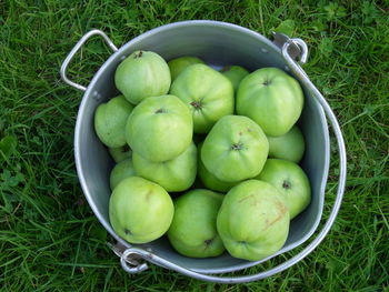 High angle view of apples in basket