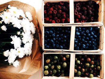 Close-up of food on shelf