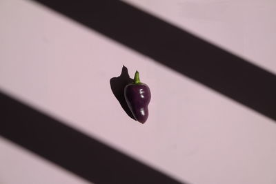 High angle view of chili pepper with shadow on table