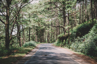 Empty road passing through forest