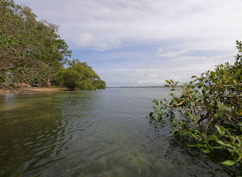 Scenic view of sea against sky