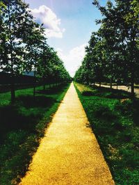 Footpath amidst trees in park