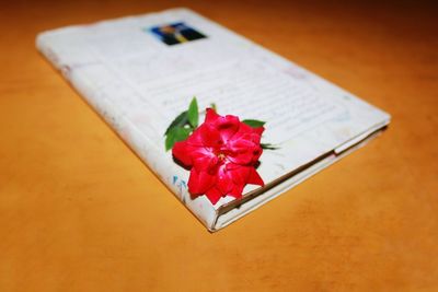 High angle view of red flower on table