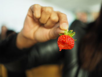 Close-up of hand holding red flower