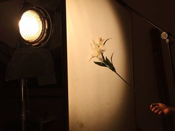Close-up of hand by illuminated vase at home