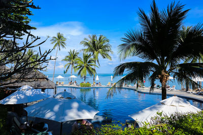 Palm trees by swimming pool against sky