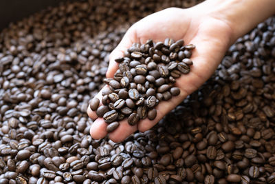 High angle view of hand holding coffee beans