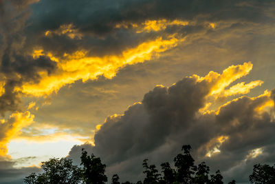 Low angle view of trees against dramatic sky