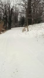 Tire tracks on snow covered road