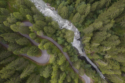 Aerial view of road and river amidst trees in forest