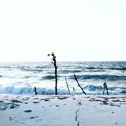 People on beach against sky during winter