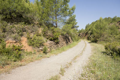 Road amidst trees against sky