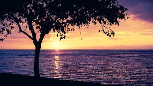 Silhouette tree by sea against sky during sunset