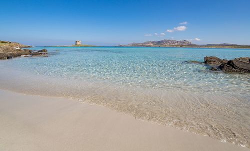 Scenic view of beach against blue sky