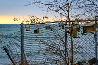 Bare tree and building against sky