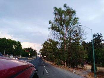 Road by trees against sky