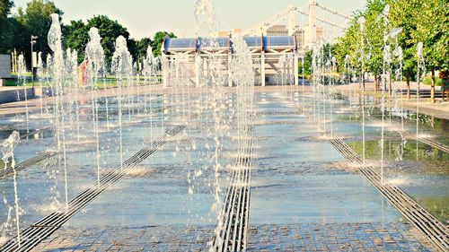 Reflection of trees on swimming pool against sky