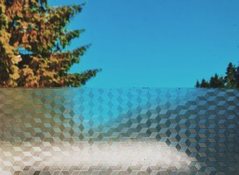 View of trees against blue sky