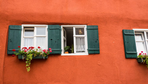 Close-up of building windows