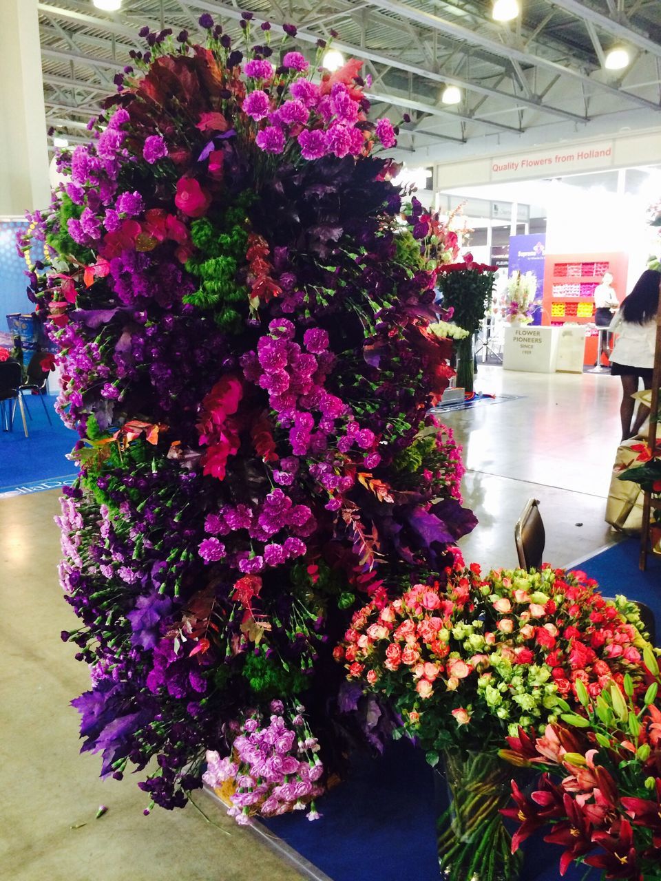 flower, freshness, fragility, potted plant, plant, petal, pink color, indoors, multi colored, growth, bouquet, beauty in nature, variation, nature, blooming, decoration, flower head, high angle view, flower pot, purple