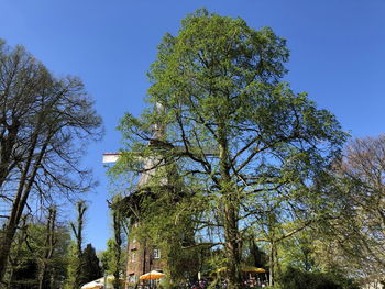 Low angle view of trees against clear blue sky