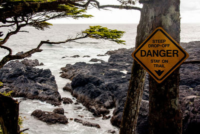 Close-up of warning sign on tree trunk