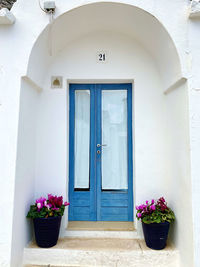 Potted plant against building