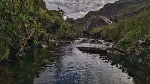 River amidst trees against sky