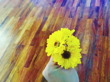 Close-up of yellow flower