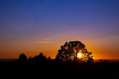 Silhouette trees against sky during sunset