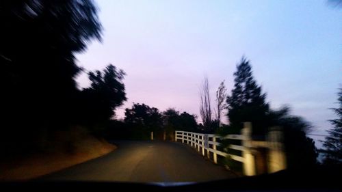 Road along trees