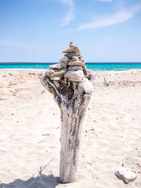 Driftwood on beach by sea against sky