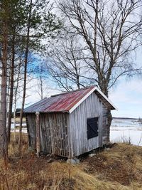 Bare tree in front of abandoned building