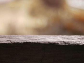 Close-up of wooden table