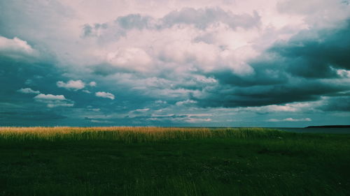 Scenic view of grassy field against cloudy sky