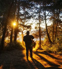 Man standing in forest against bright sun
