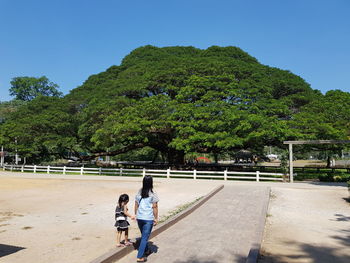 Rear view of people on plants against sky