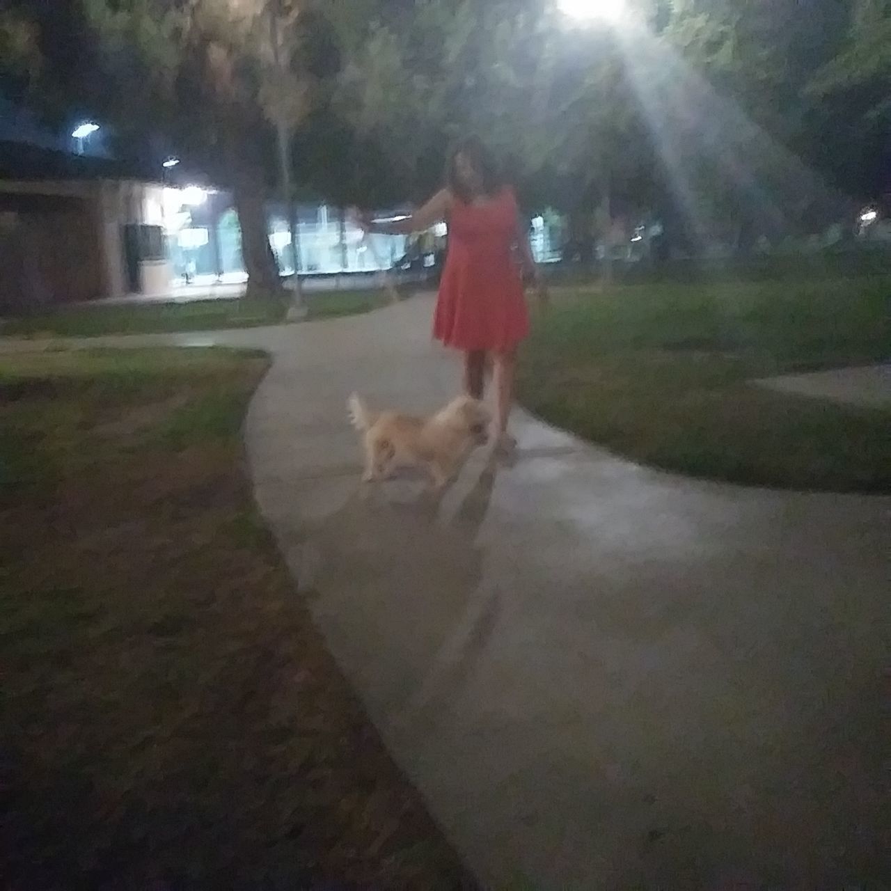 REAR VIEW OF WOMAN WITH DOG WALKING ON FOOTPATH DURING RAINY SEASON